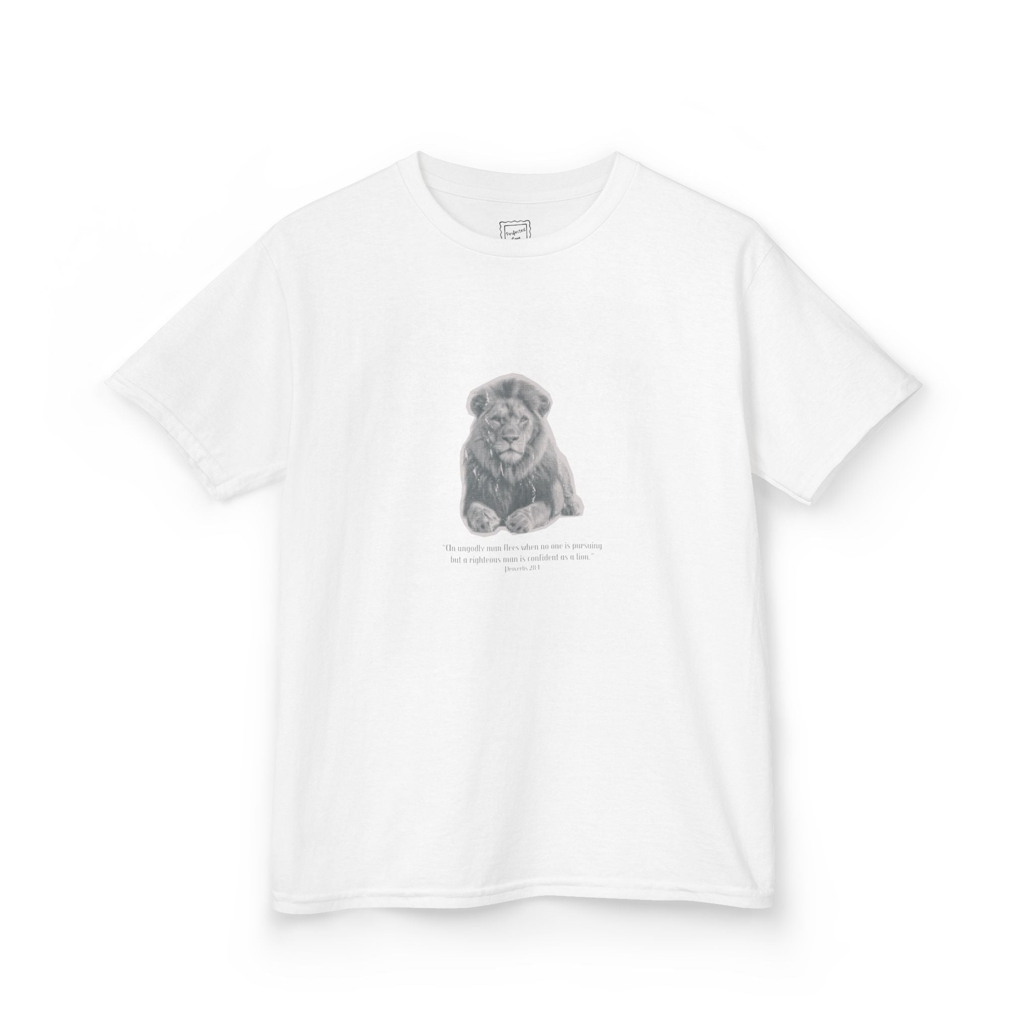 Provers 28:1 Lion Baby Tee