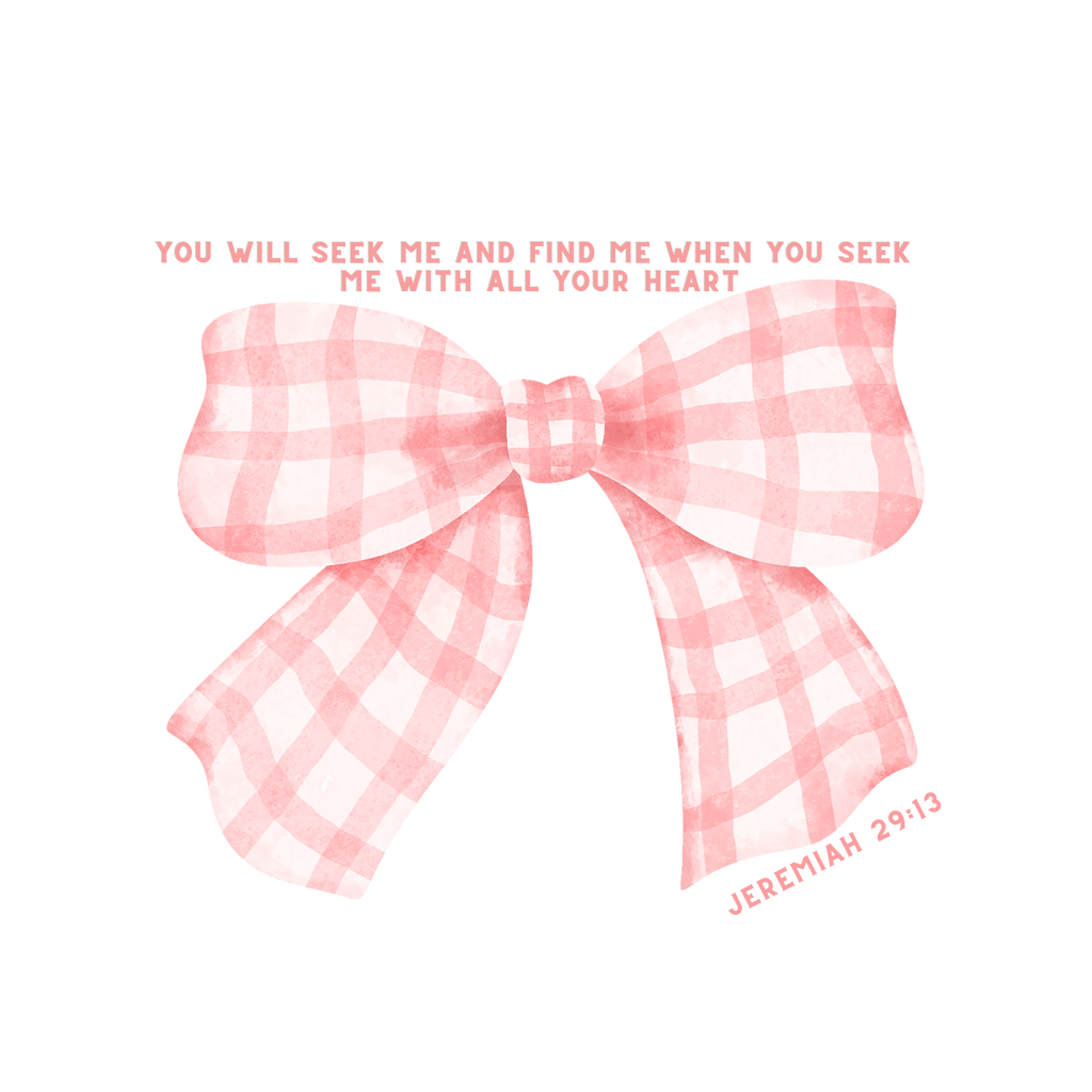 Jeremiah 29:13 Gingham Bow Baby Tee
